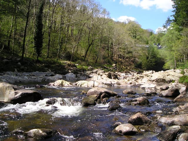 The River Mawddach near Ganllwyd on a spring day, clear water over a rocky bed in a wooded valley.