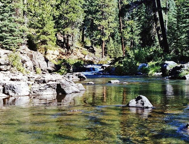 Clear pools and cascades on the McCloud River south of Mount Shasta, California — wild rainbow-trout holding water.