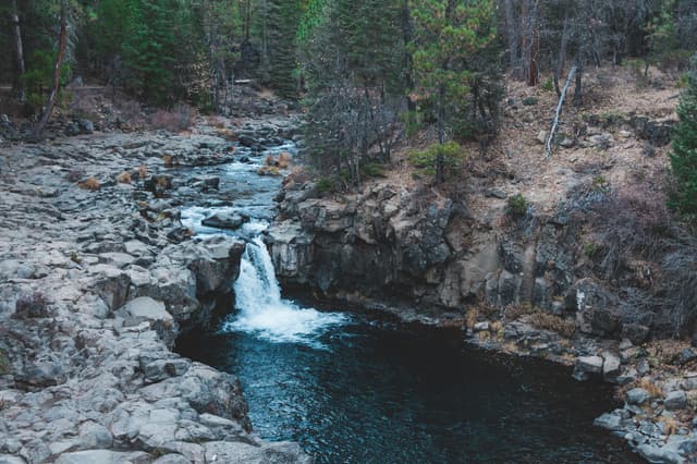 Lower Falls of the McCloud River dropping into a wide pool, Shasta County, California.