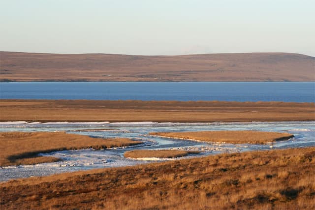 Icy marsh channels of the Austurá in the Miðfjörður valley, the blue fjord and moorland hills behind.