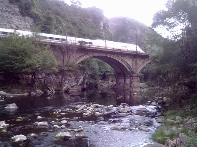 The Nalón flowing between Olloniego and Soto de Ribera, Asturias.