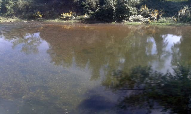 The Nalón flowing through a broad landscape at Aces de Candamo, Asturias.