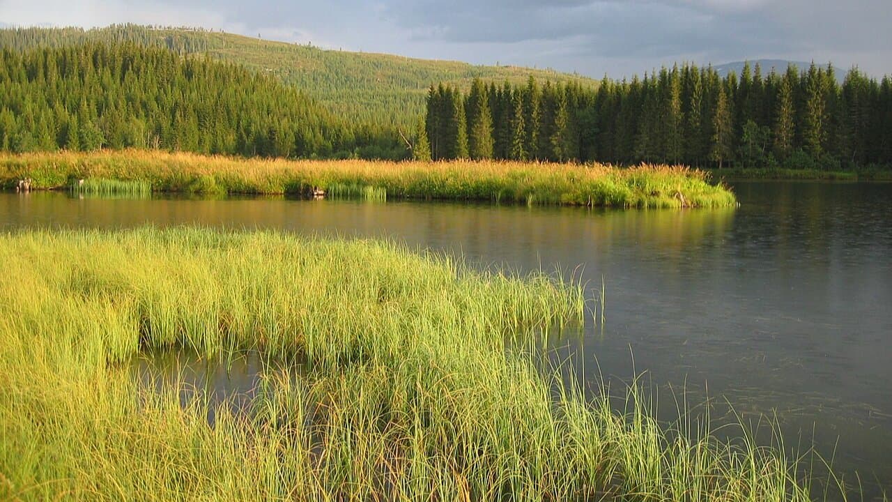 Namsen fishing venue photo