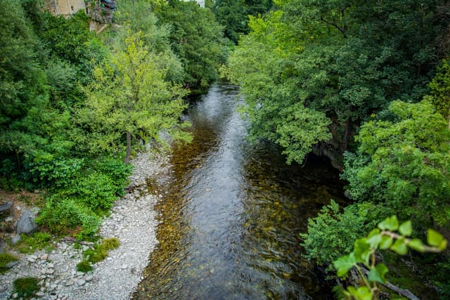The Río Narcea threading through riparian forest at Corias near Cangas del Narcea, Asturias.