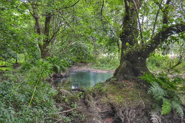 The Río Narcea from the north bank near Quinzanas, Pravia, the full width of the river.
