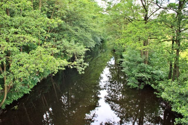 The River Nidd at Pateley Bridge in summer, clear shallow riffles over gravel with lush bankside vegetation.