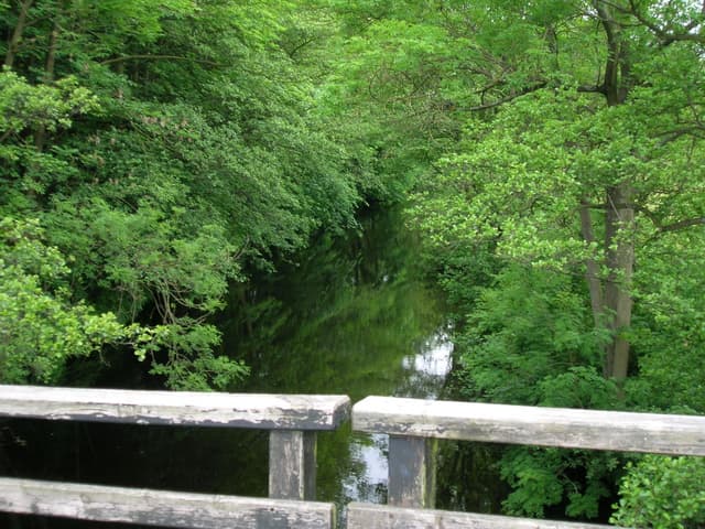 A broad summer view of the River Nidd at Pateley Bridge with green riverside vegetation and gentle riffles.