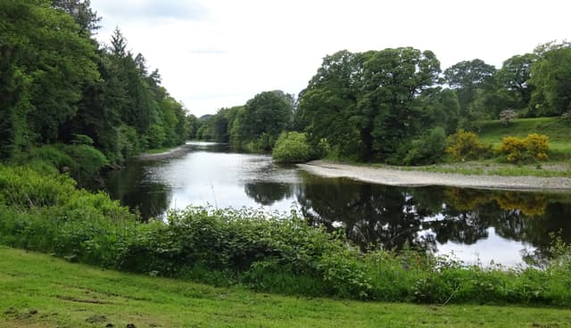 The River Nith flowing through the Friars' Carse estate, Nithsdale, open meadow on the near bank and tree cover beyond.