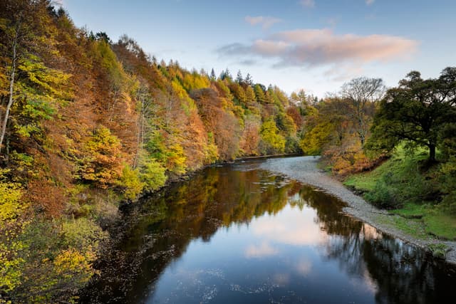 Autumn view of the River Nith flowing through wooded countryside near Drumlanrig Castle, Dumfries & Galloway.