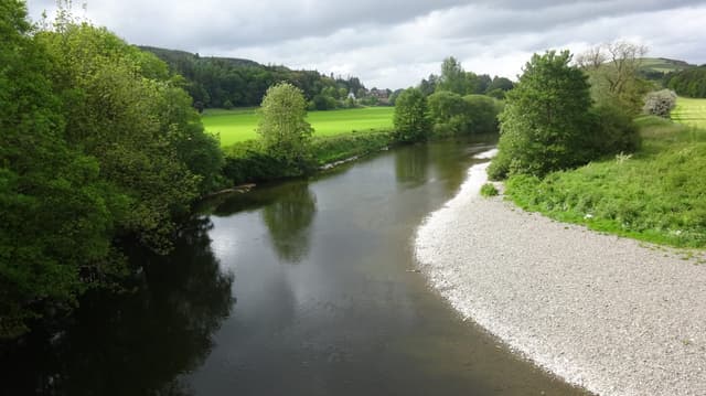 Wide upstream view of the River Nith at Auldgirth old bridge, clear water and wooded banks in late spring.