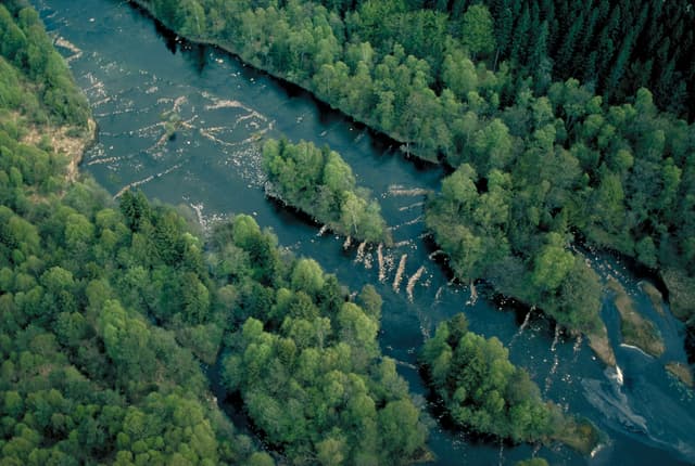 Fylleån i Halland