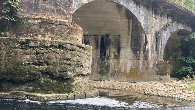 Upstream of Infiesto