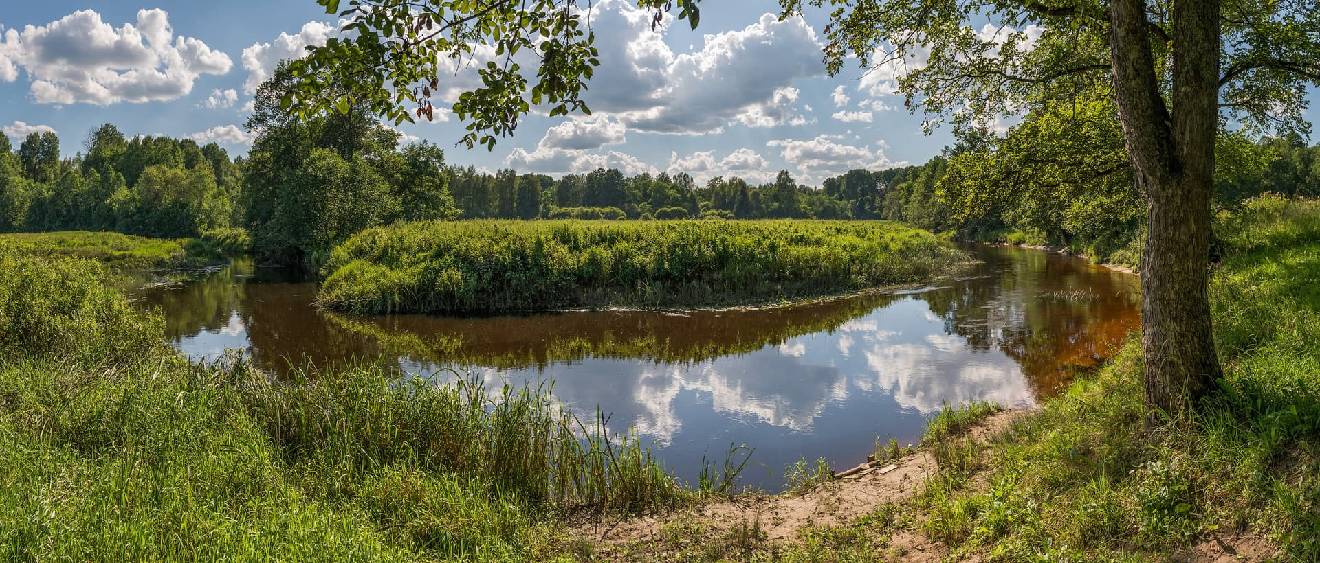Pedja jõgi 2014