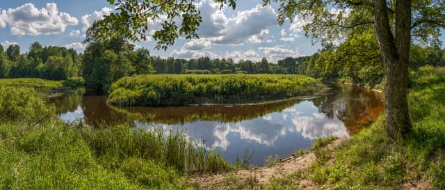 Pedja jõgi 2014