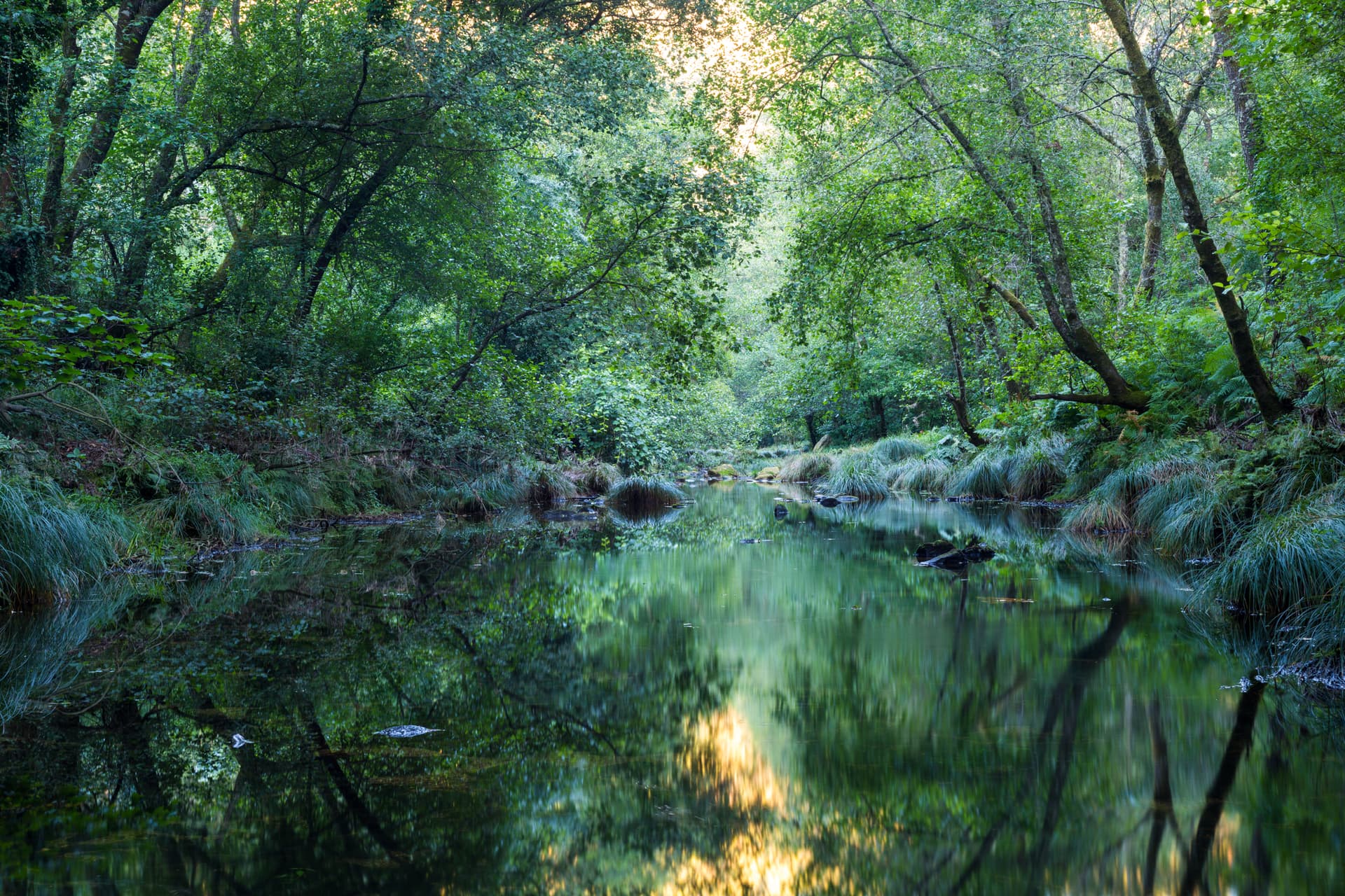 Rio Coura
