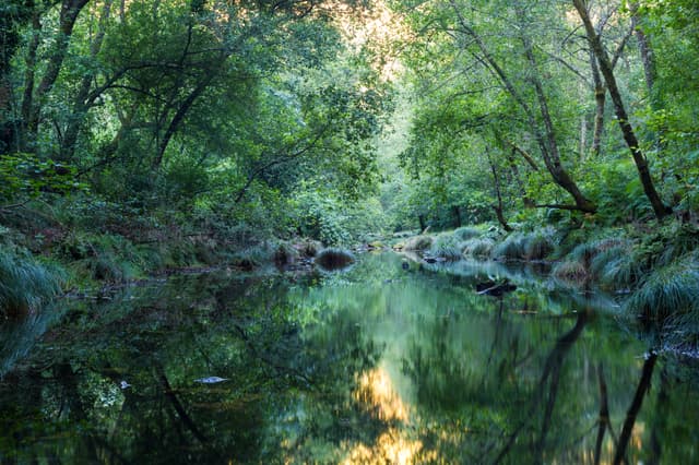 Rio Coura