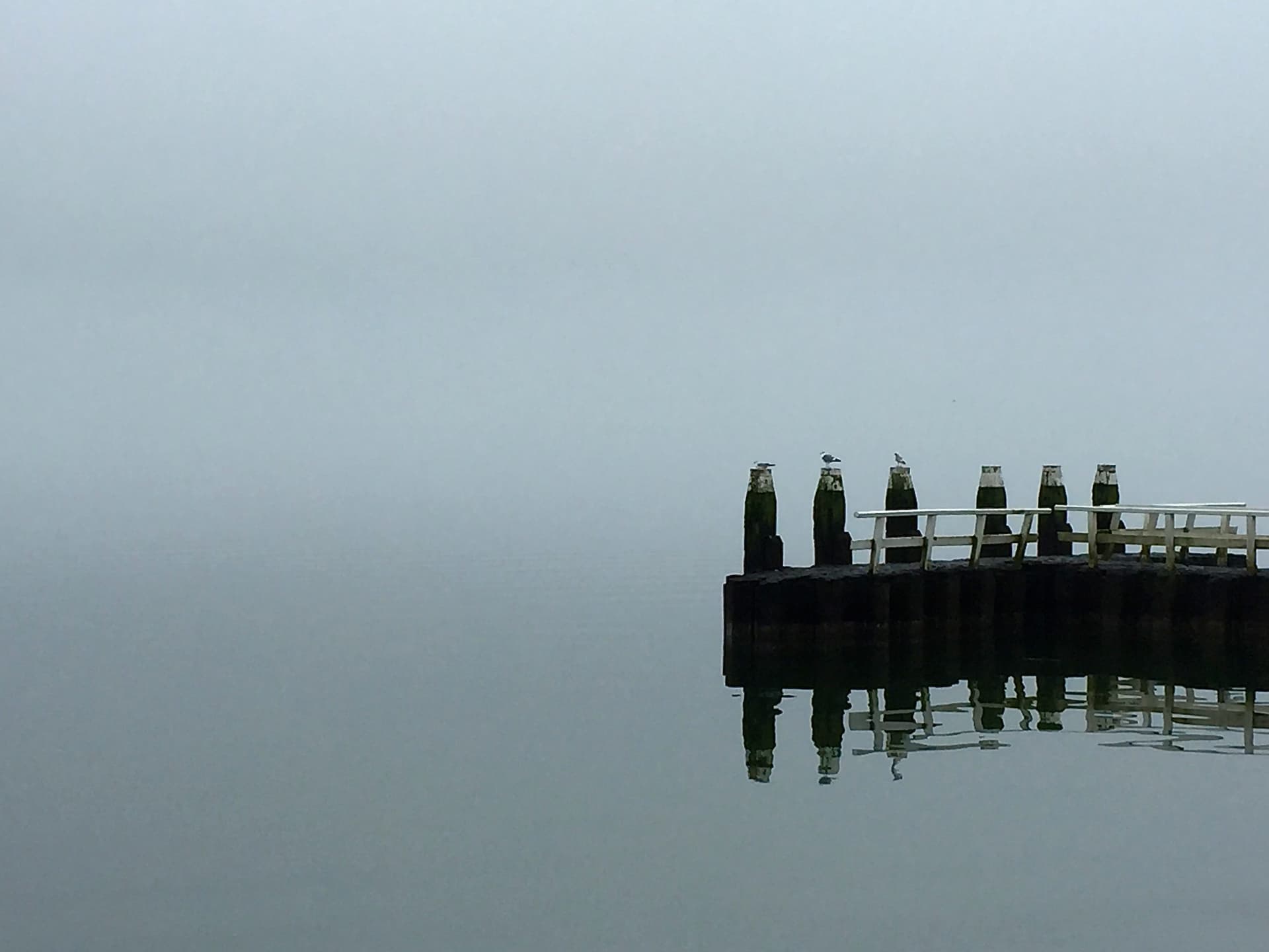 IJsselmeer (32896245852)