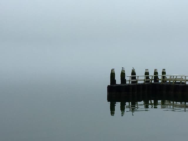 IJsselmeer (32896245852)