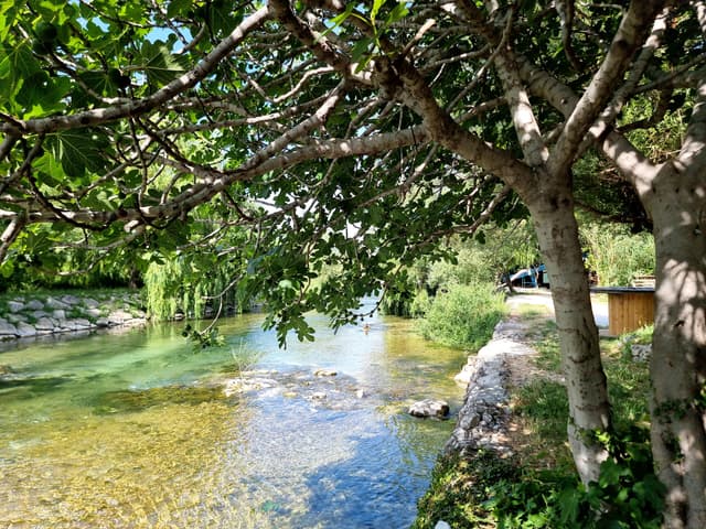 Rijeka Jadro
