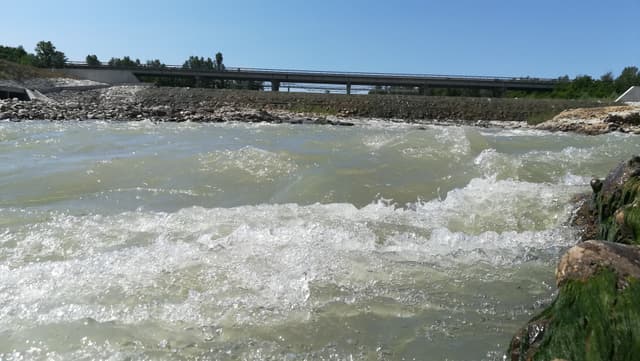 Fiume Secchia a Casalgrande 16