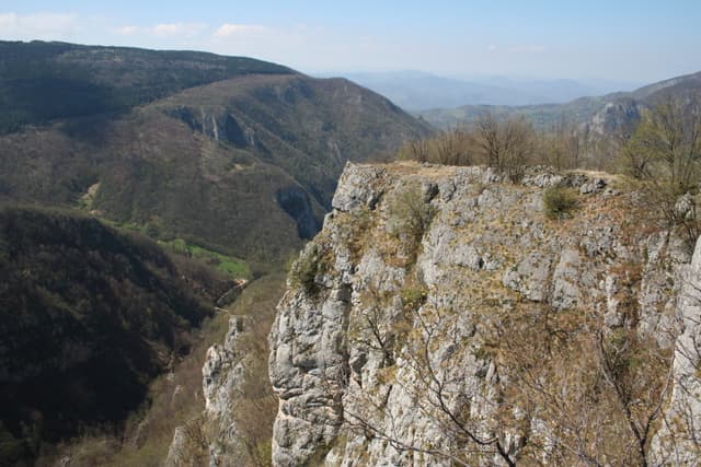 Kanon Trešnjice 002