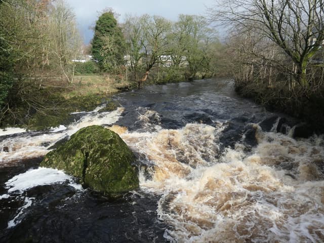 Clear limestone-green pool and exposed bedrock at Queen's Rock on the River Ribble above Settle.