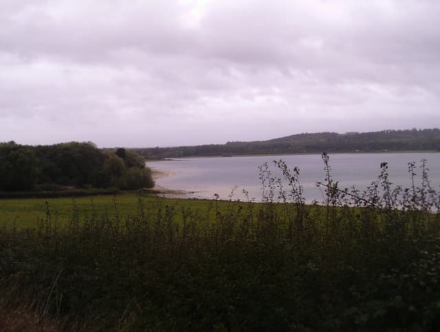 Ground-level view across the open water of Rutland Water from the Barnsdale shore.