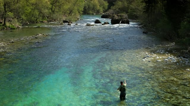 Bohinjska Bela