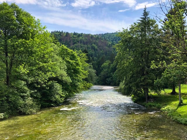 The Sava Bohinjka flowing through the Bohinj valley near the lake outflow, clear turquoise water with boulders.