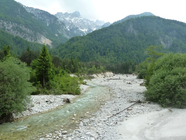 The Sava Dolinka below the confluence of Beli Potok, a wide gravel-bedded channel in the Gorenjska valley.