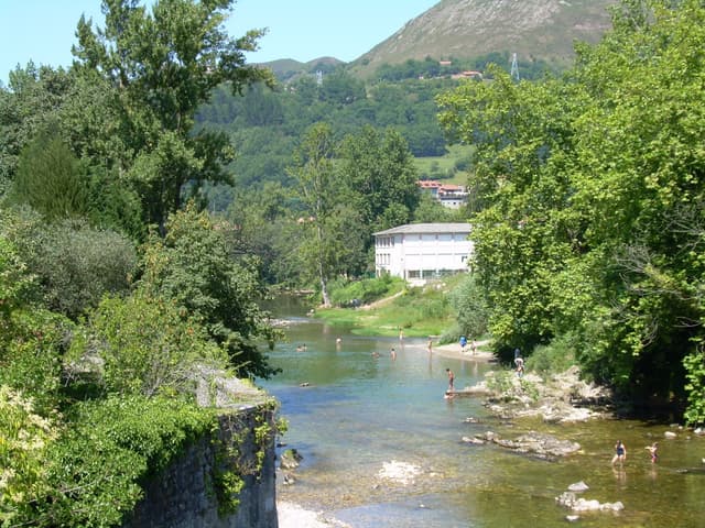 The Río Sella in full summer flow through a green valley in Asturias.