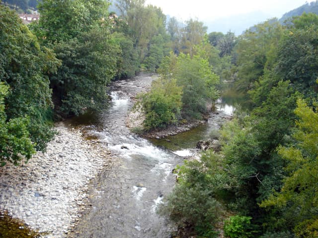 The Río Sella flowing through riparian forest in Asturias.