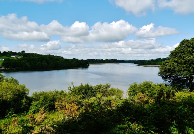 Wide view of the River Slaney from the Irish National Heritage Park, County Wexford.