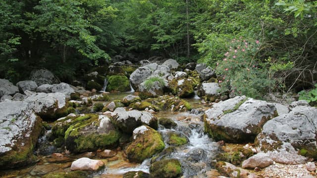 Soča, Slovenia