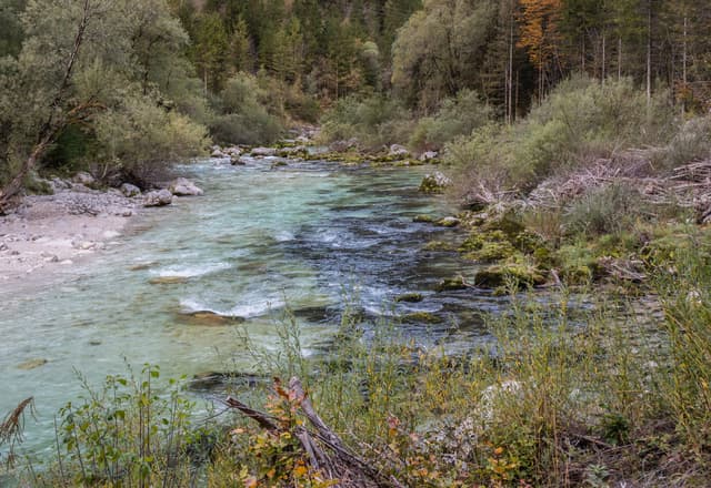 The turquoise Soča at Čezsoča in the Bovec municipality, Slovenia.