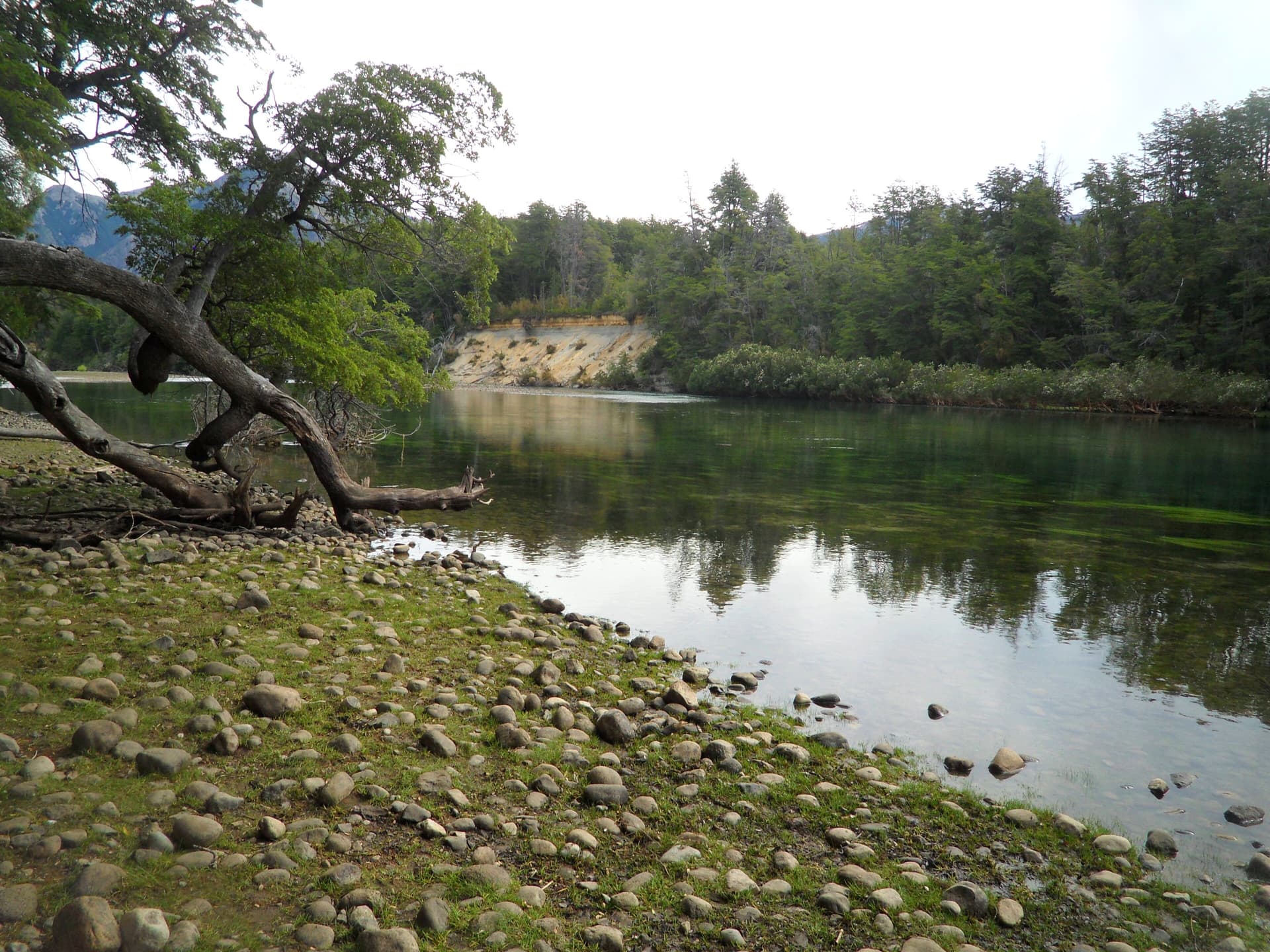 Rio Arrayanes, Parque Nacional Los Alerces