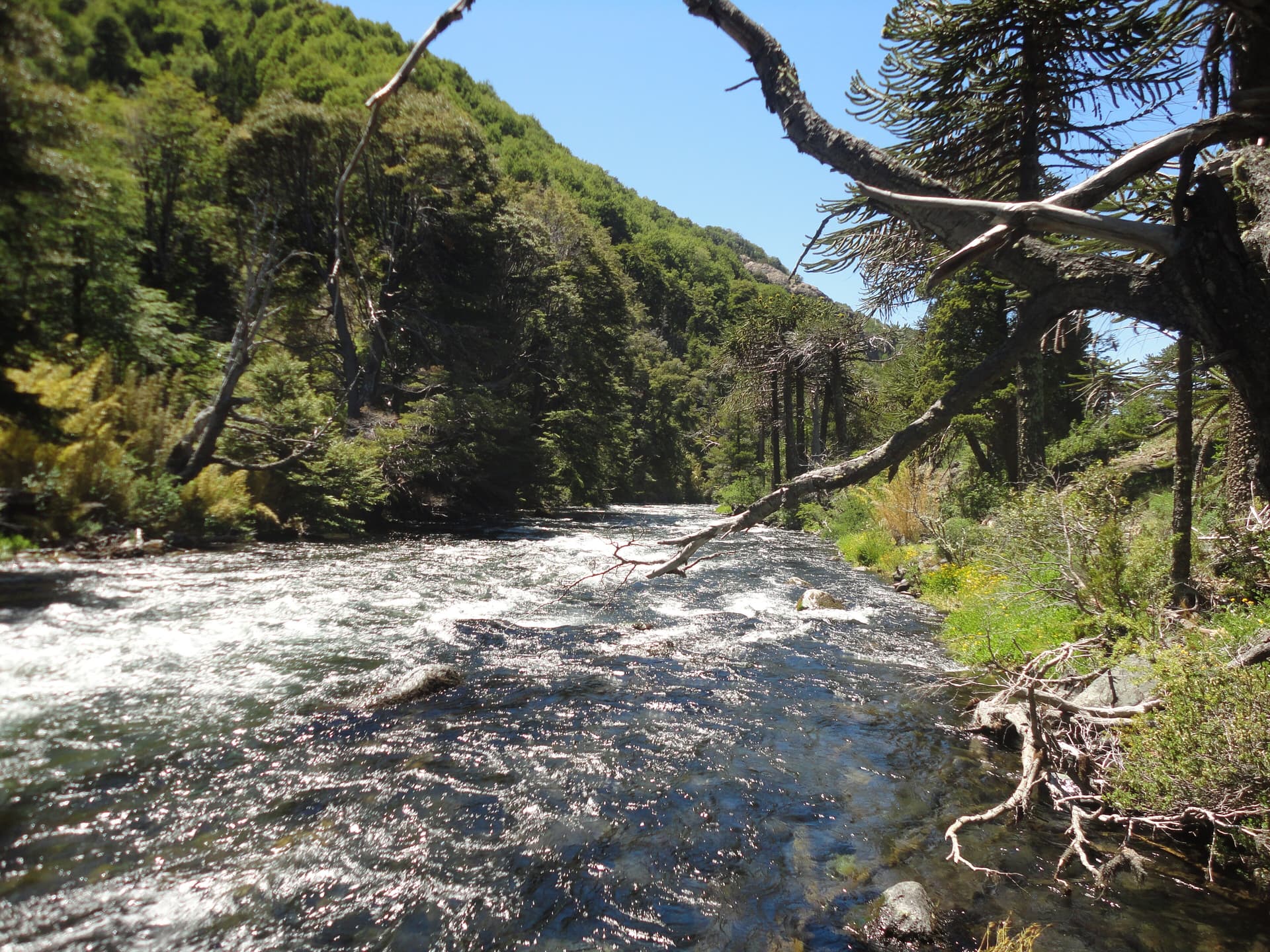 Malleo River