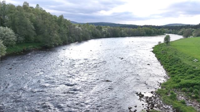 The mighty Spey at Grantown-On-Spey