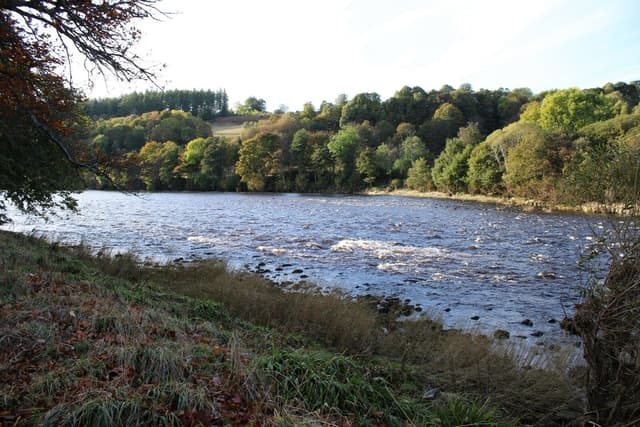 The River Spey in autumn near Aberlour, winding through deciduous woodland in October colour.