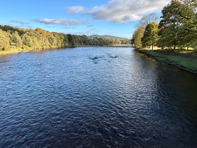 The River Spey flowing downstream through tree-lined banks at Aberlour, Moray, in autumn light.