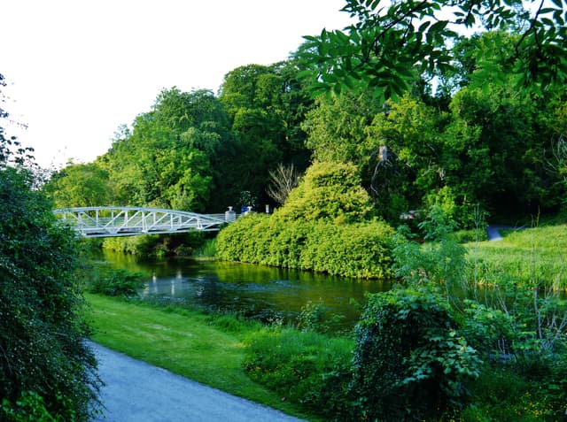 The River Suir flowing through open countryside near Cahir, green riparian banks and shallow riffles.