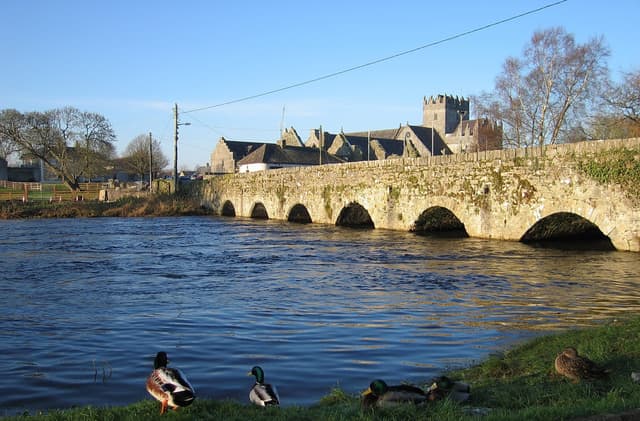 The River Suir at Holycross with the medieval Abbey reflected in the still water and waterfowl on the surface.