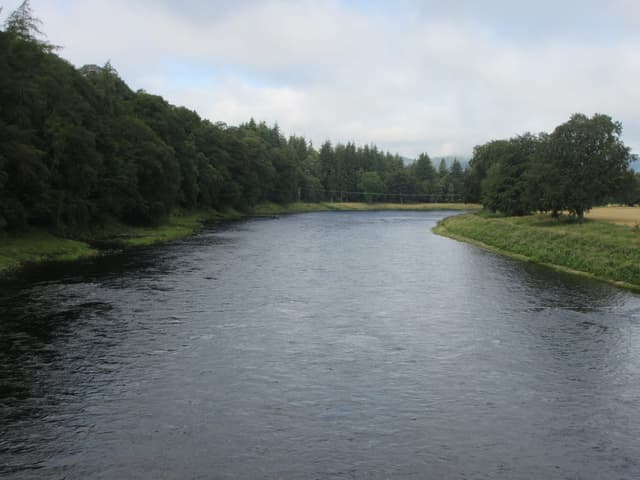 The River Tay viewed downstream from Caputh Bridge on a summer day, the broad calm mid-river.