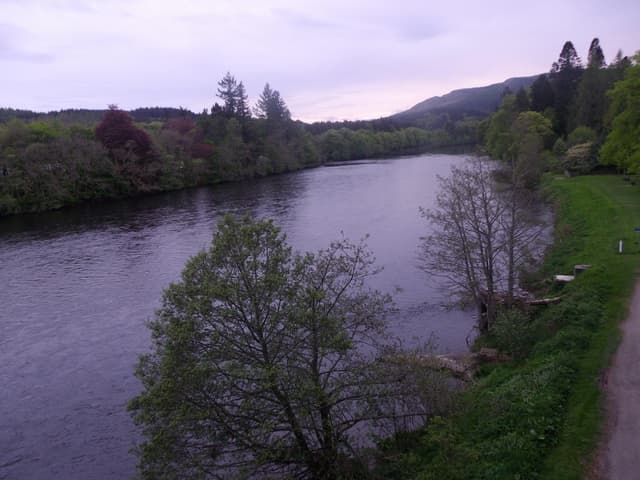 The River Tay flowing upstream of Dunkeld Bridge, Perthshire, with wooded banks on either side.