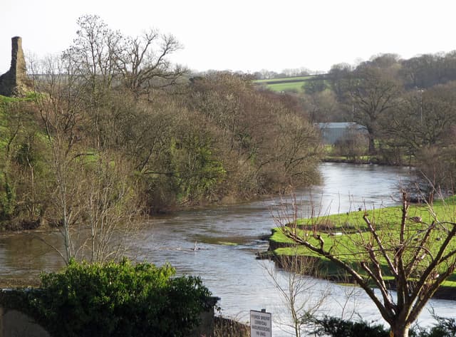 Sweeping meanders of the Teifi near Newcastle Emlyn in winter spate, wide and dark between alder-lined banks.