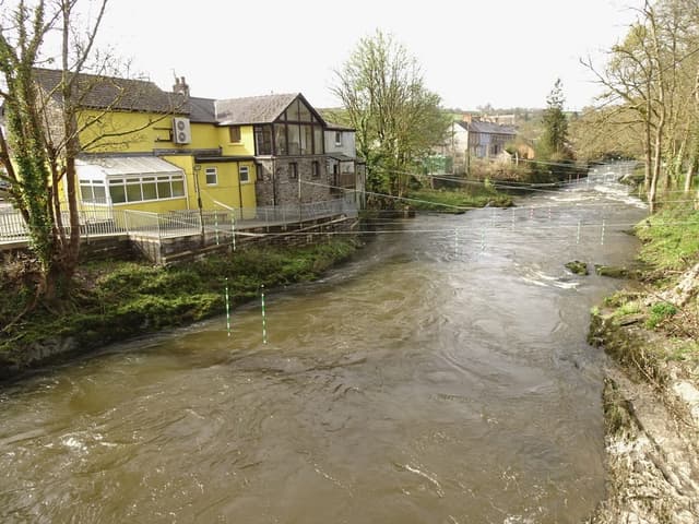 The River Teifi at Llandysul showing rocky rapids and bankside vegetation between Llandysul and Pontwelly.