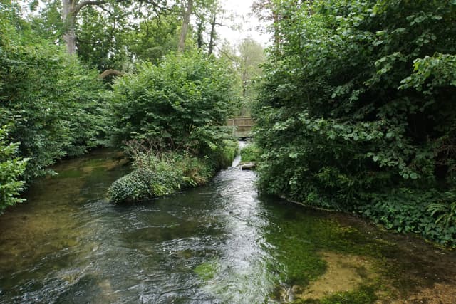 A wide view of the River Test at Mottisfont, the chalk stream flowing through wooded estate grounds.
