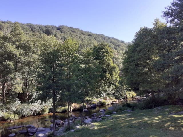 The Río Tormes and Prado del Toro meadow at Navalperal de Tormes, entrance to the Gredos park.