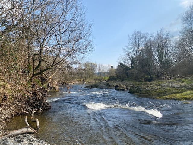 The Afon Tywi winding through its flood plain near Llandovery, Carmarthenshire.