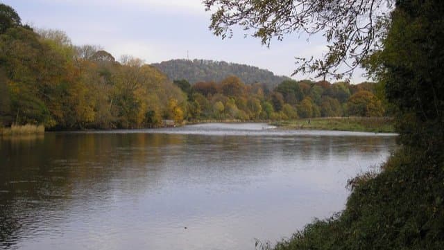 The River Tweed at Abbotsford